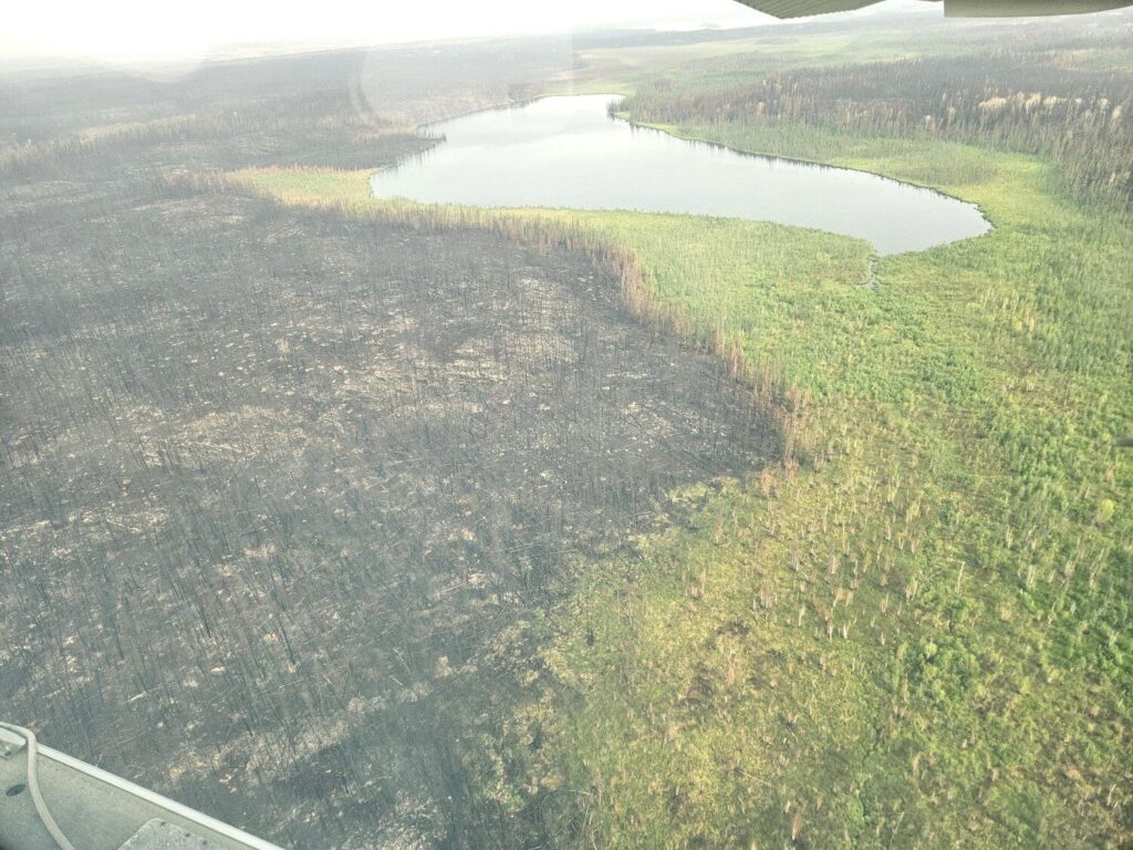 The line of a forest fire is visible from a floatplane