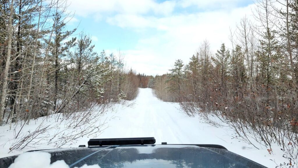 Looking down a snowy trail through a forest